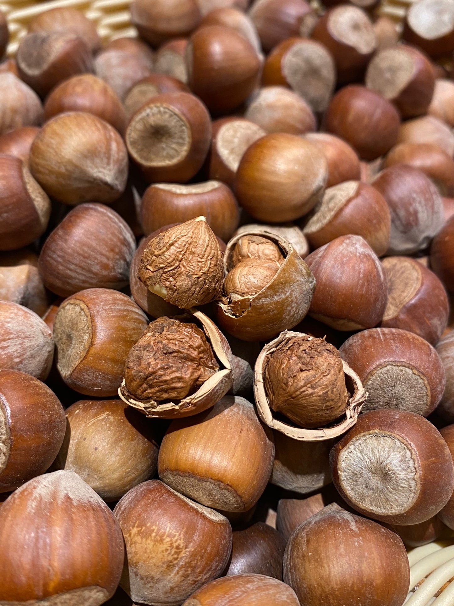 Kabuklu Fındık ORDU