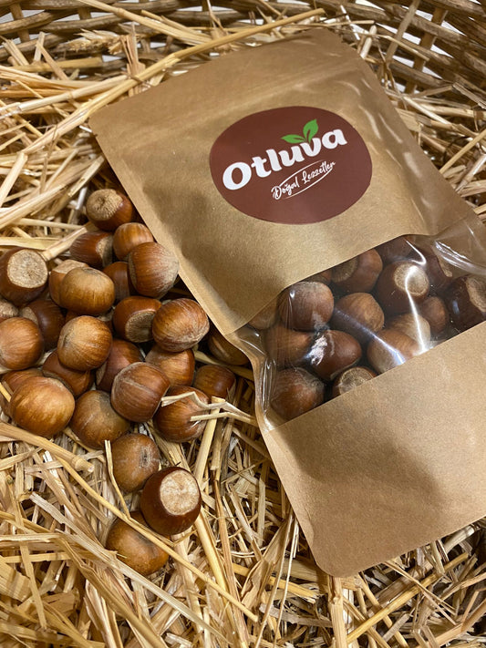 Kabuklu Fındık ORDU