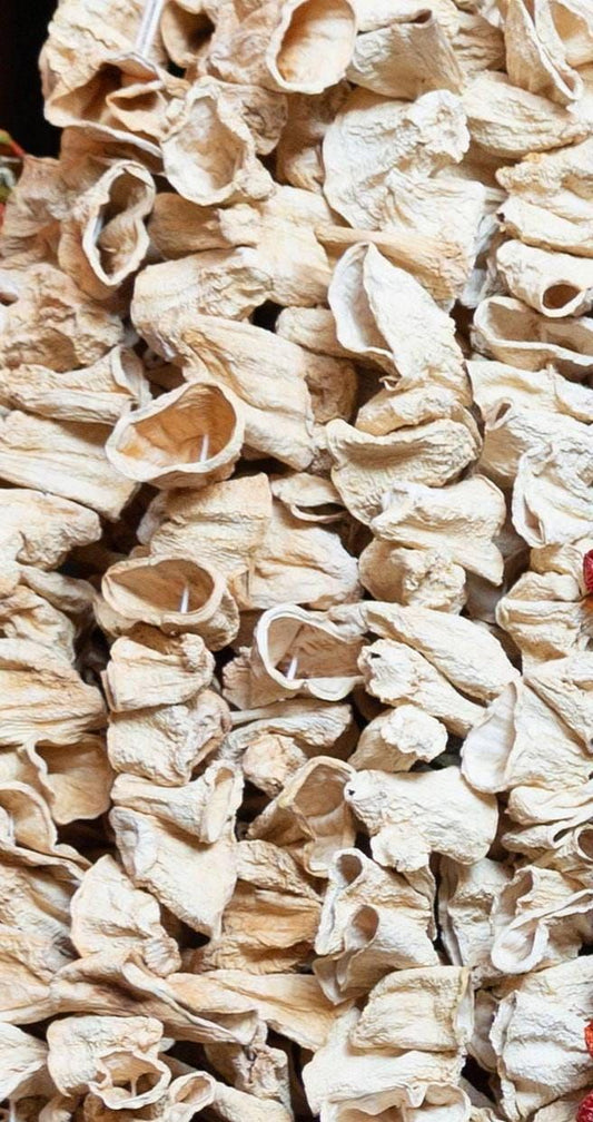 ANTEP DOLMALIK KABAK KURUSU